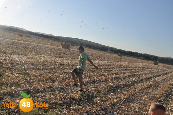 7amam lud monir 908 (65).JPG